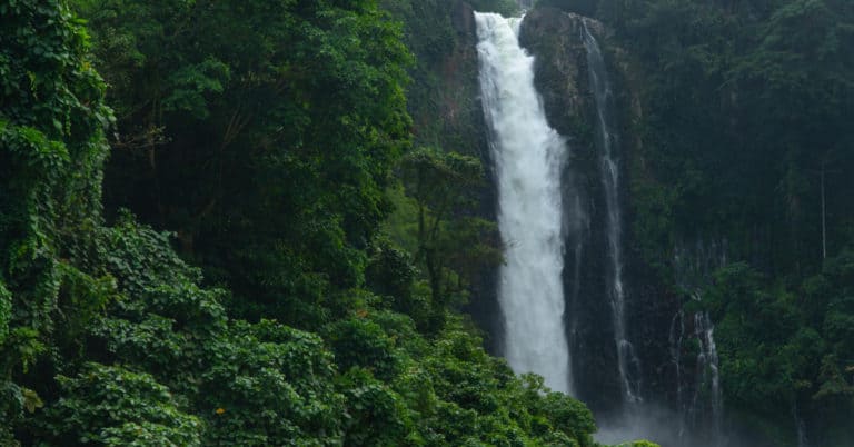 Tall waterfall cascading through lush Iligan foliage. Dense greenery surrounds as mist rises at the base.