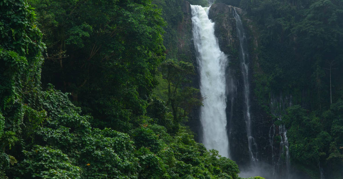Tall waterfall cascading through lush Iligan foliage. Dense greenery surrounds as mist rises at the base.