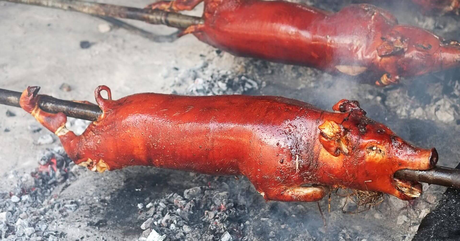 a whole roasted pig on a spit over hot coals, served with golden brown, crispy lechon skin.