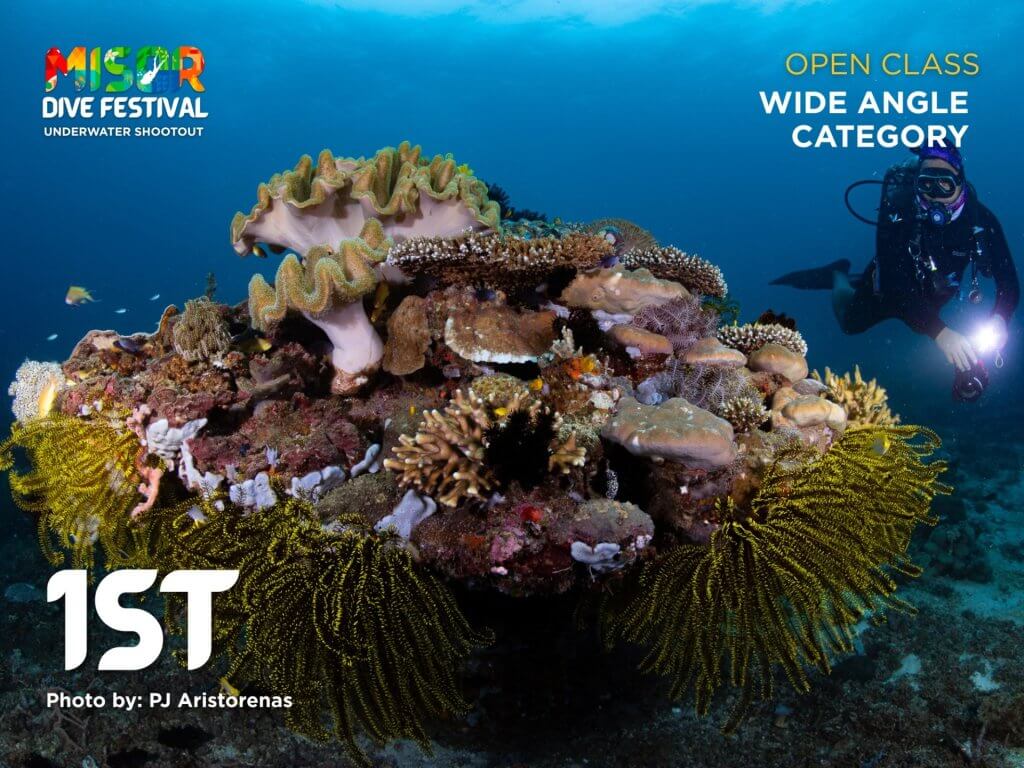 a diver snaps marine life on a reef, winning first place at the 2025 misor dive festival underwater shootout.