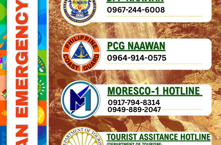 colorful vertical infographic listing naawan, philippines emergency hotlines with icons and phone numbers.