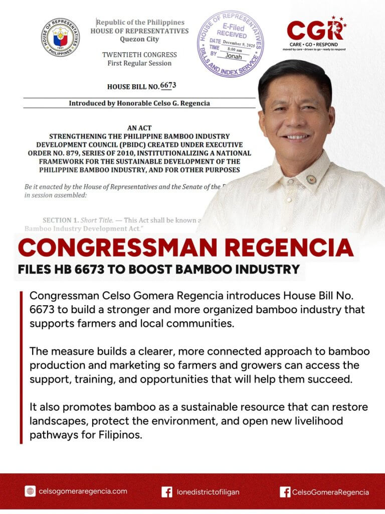 congressman Regencia presents hb 6673 on bamboo reform; text highlights industry benefits and positive impact for filipinos.