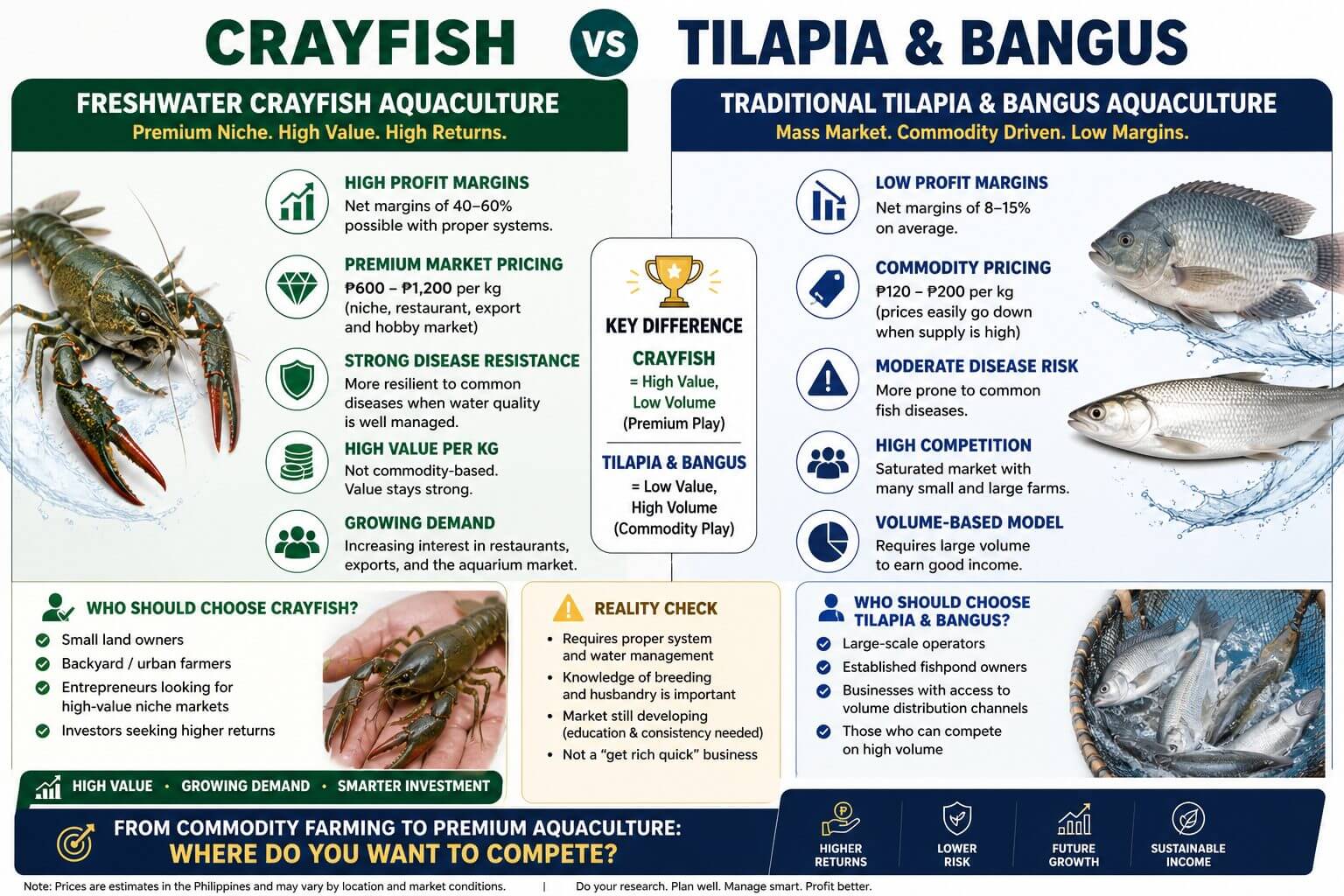 comparison chart of crayfish vs. tilapia & bangus aquaculture in the philippines’ profitable agribusiness sector.
