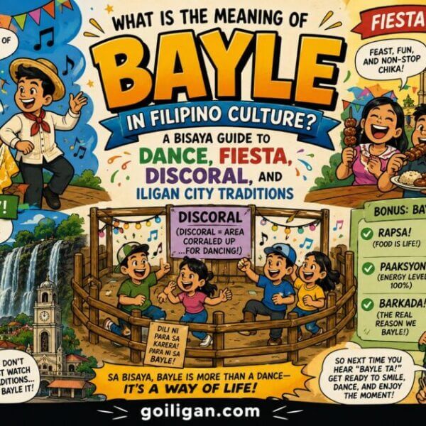 bayle meaning