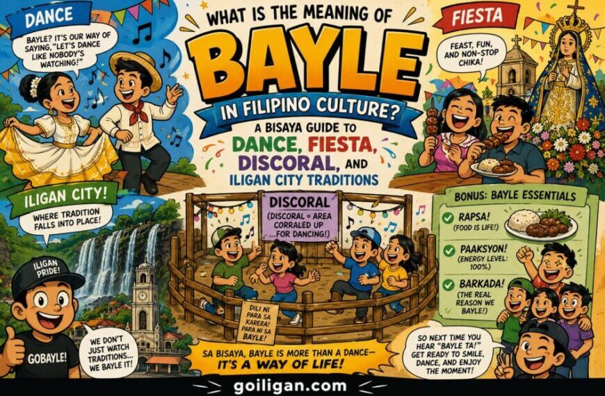 bayle meaning