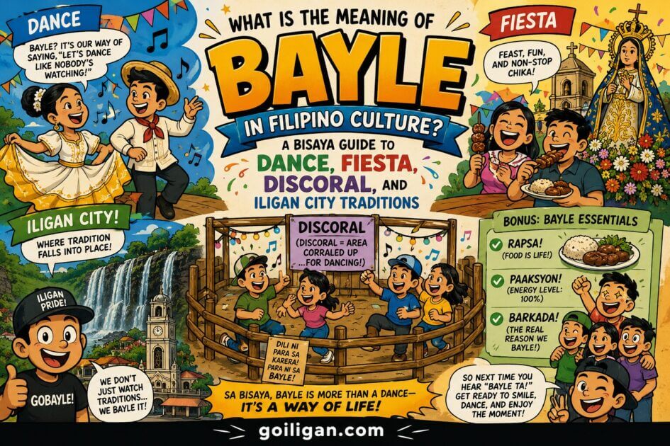 bayle meaning