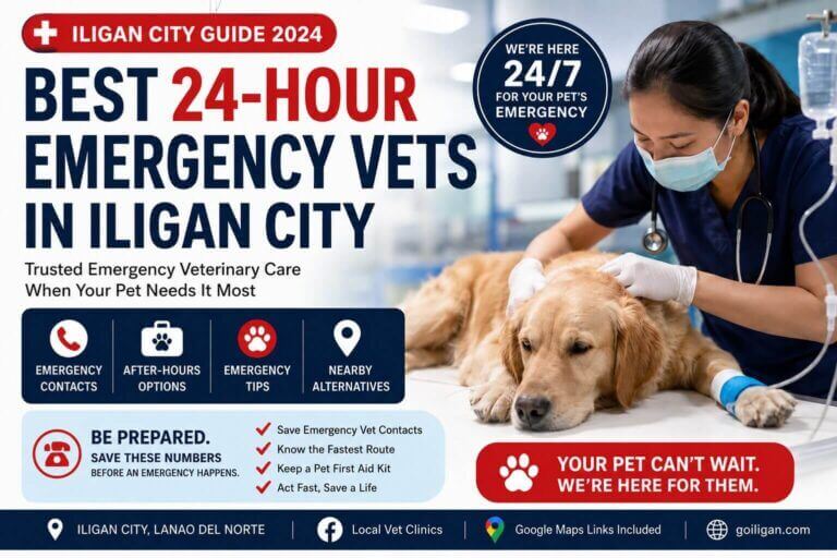 a veterinarian examines a golden retriever; text promotes 24 hour emergency vets iligan city services.