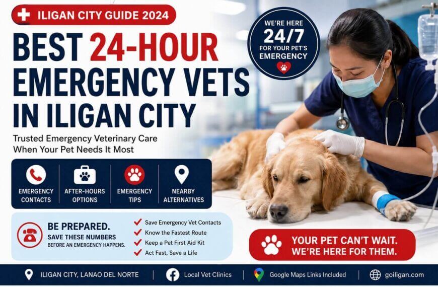 a veterinarian examines a golden retriever; text promotes 24 hour emergency vets iligan city services.