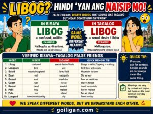 infographic on libog as a false friend—exploring meanings in bisaya words vs. tagalog, with examples and vocab table.