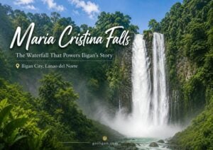 maria cristina falls, the iconic waterfall of iligan, flows between lush green cliffs under a partly cloudy sky.