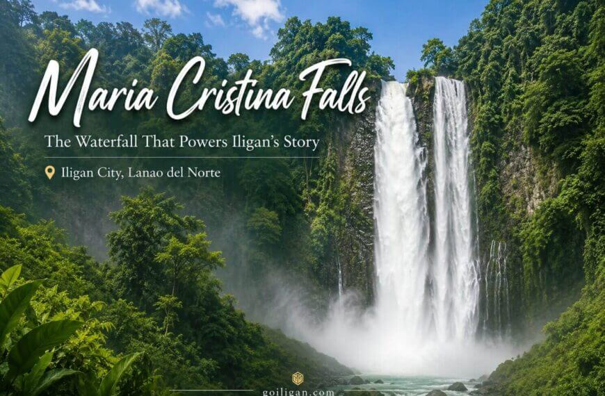 maria cristina falls, the iconic waterfall of iligan, flows between lush green cliffs under a partly cloudy sky.