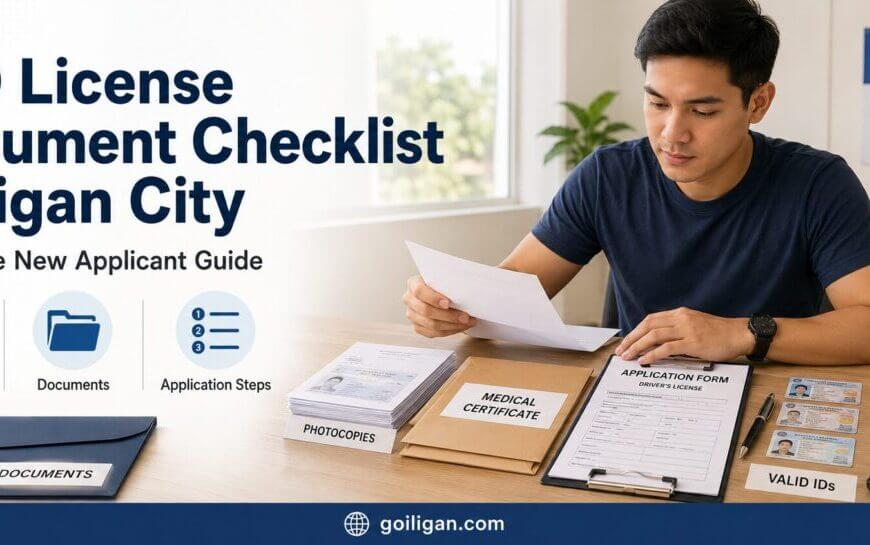 lto drivers license requirements